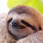 SLOTH Piece